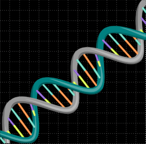 dna, genetic, science-6179524.jpg