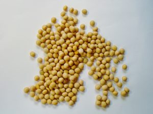 soy yellow beans on white surface